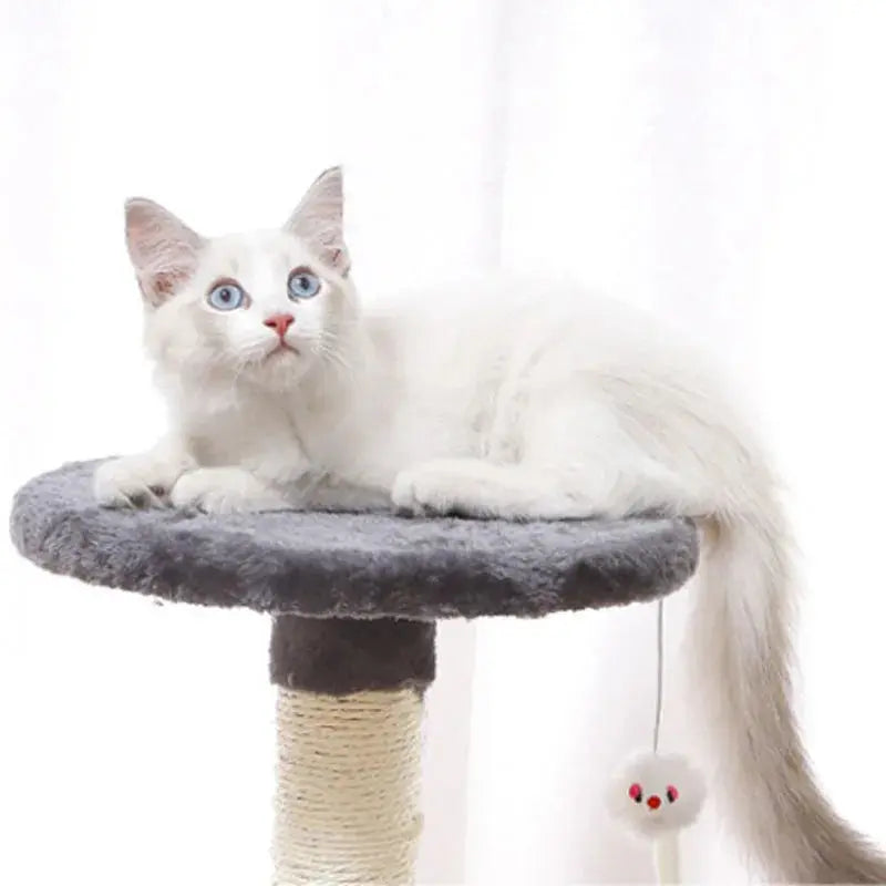 Arbre à chat gris : Offrez à votre chat un royaume de détente et d'aventure !